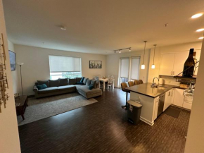 Amazing 2BR Apartment - DTLA